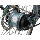 Flourish Disc 0 M