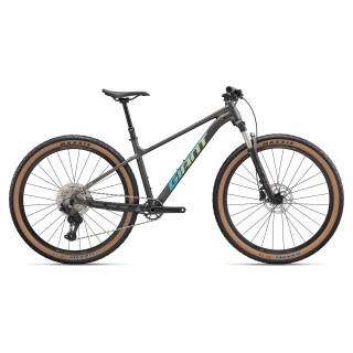 Talon 29 0 L Stealth Chrome (2027)