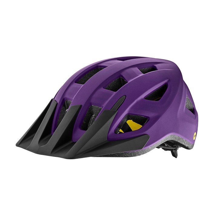 Kask Giant Path ARX Mips