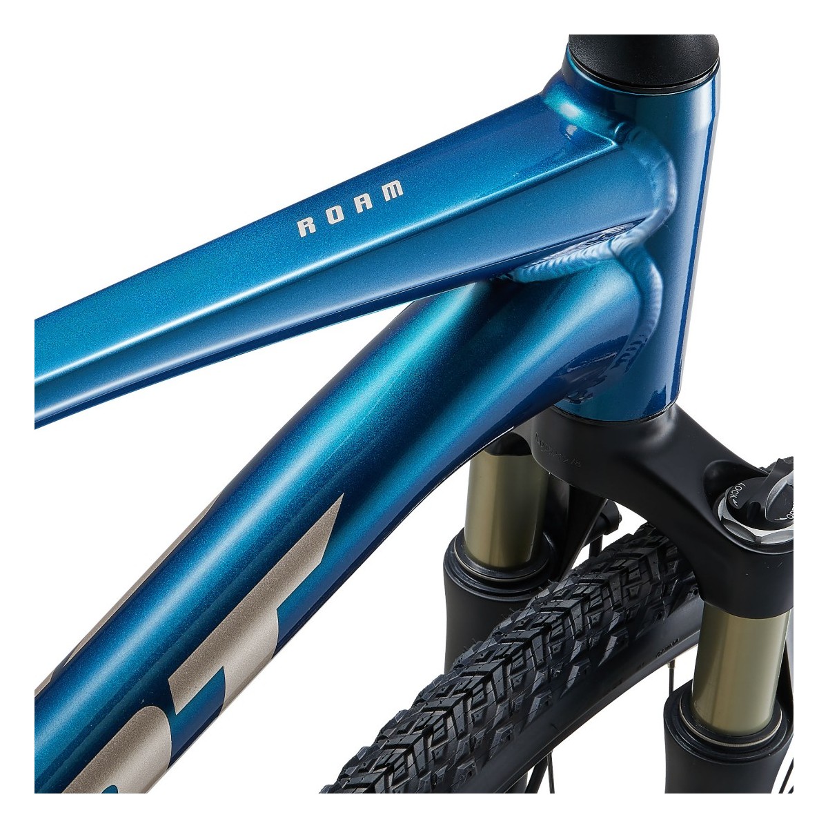 Rower crossowy GIANT Roam 0 Disc (2024)