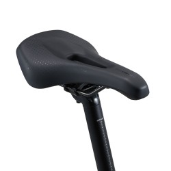Rower crossowy GIANT Roam 1 Disc (2024)