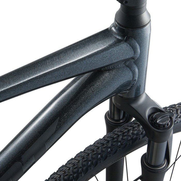 Rower crossowy GIANT Roam 1 Disc (2024)