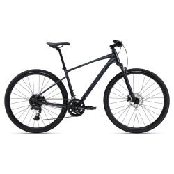 Rower crossowy GIANT Roam 1 Disc (2024)