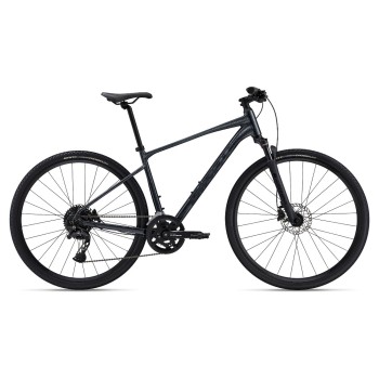 Rower crossowy GIANT Roam 1 Disc (2024)