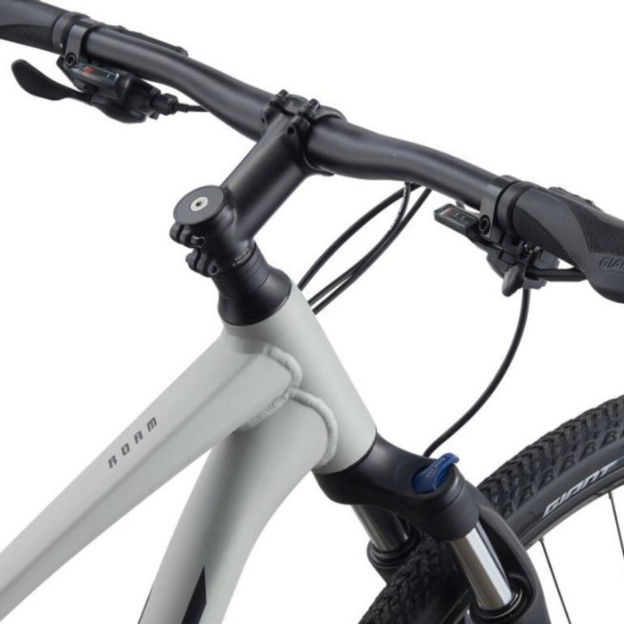 Rower crossowy GIANT Roam 3 Disc