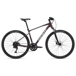 Rower crossowy GIANT Roam 2 Disc (2024)