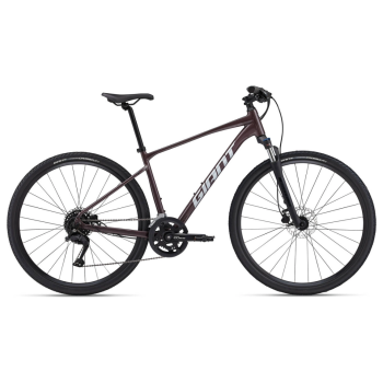 Rower crossowy GIANT Roam 2 Disc (2024)