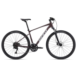 Rower crossowy GIANT Roam 2 Disc (2024)